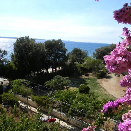 Apartman Puhalovic