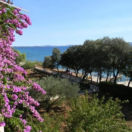 Puhalovic Zadar